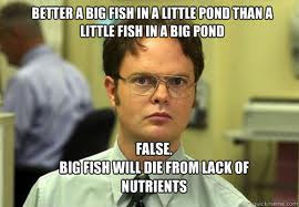 little fish quote The Office image